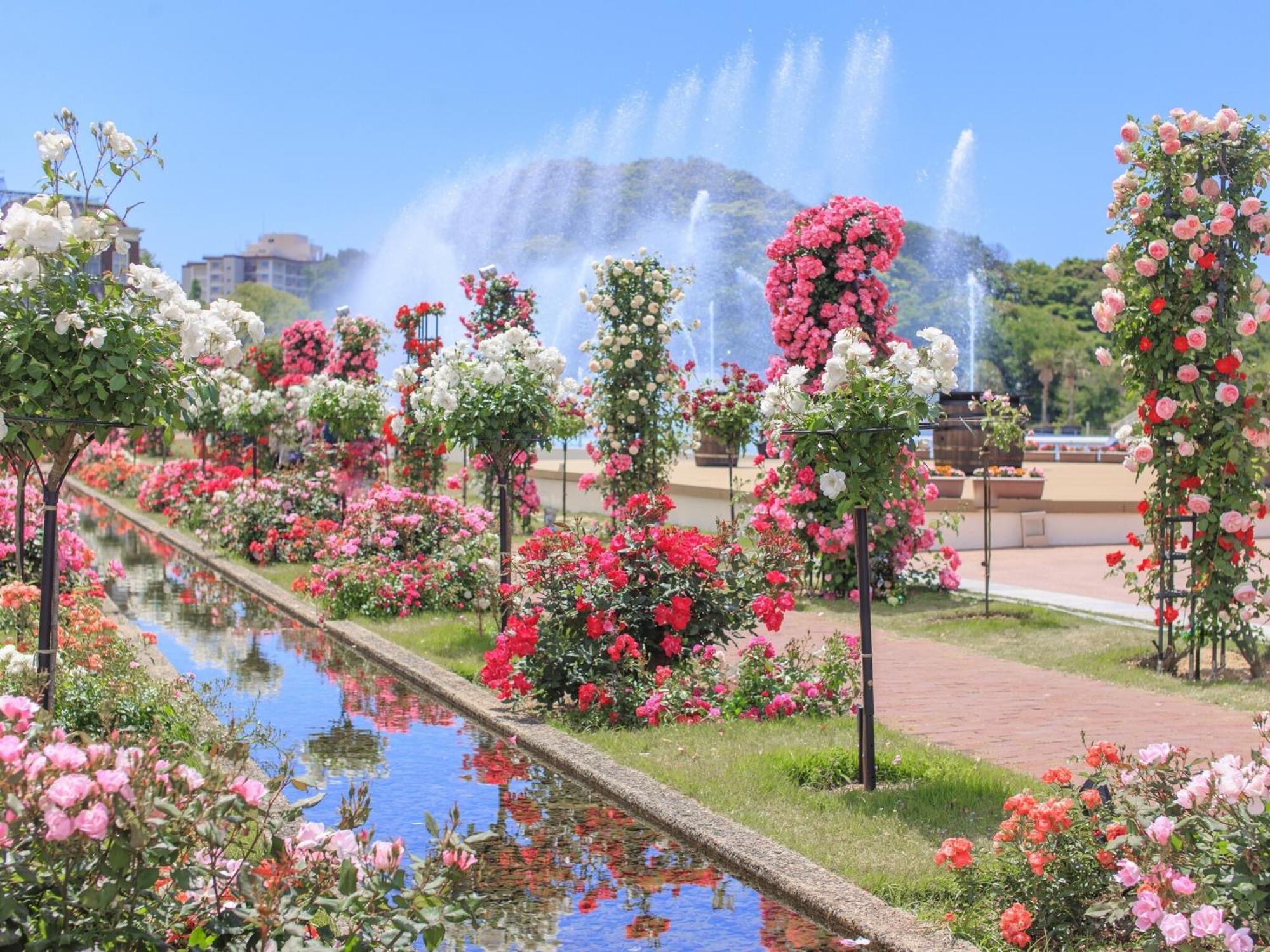โรงแรมเฮาส์ เทน บอช ยุโรป ซาเซะโบ ภายนอก รูปภาพ
